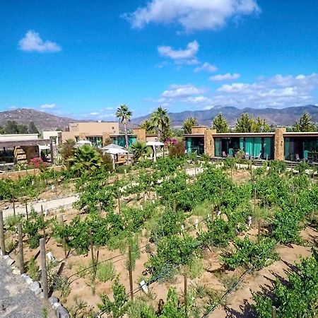 Entre Vinedos By Hotel Boutique Valle De Guadalupe Dış mekan fotoğraf