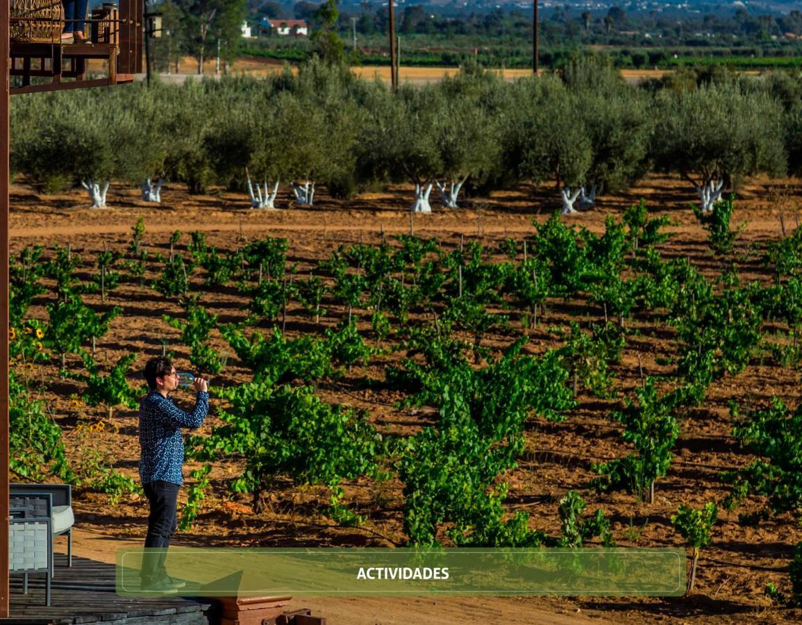 Entre Vinedos By Hotel Boutique Valle De Guadalupe Dış mekan fotoğraf