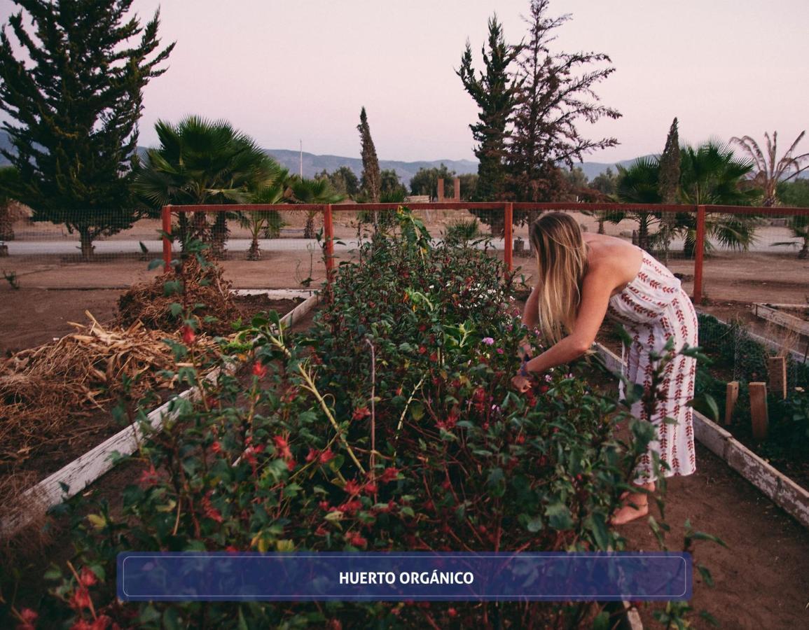 Entre Vinedos By Hotel Boutique Valle De Guadalupe Dış mekan fotoğraf