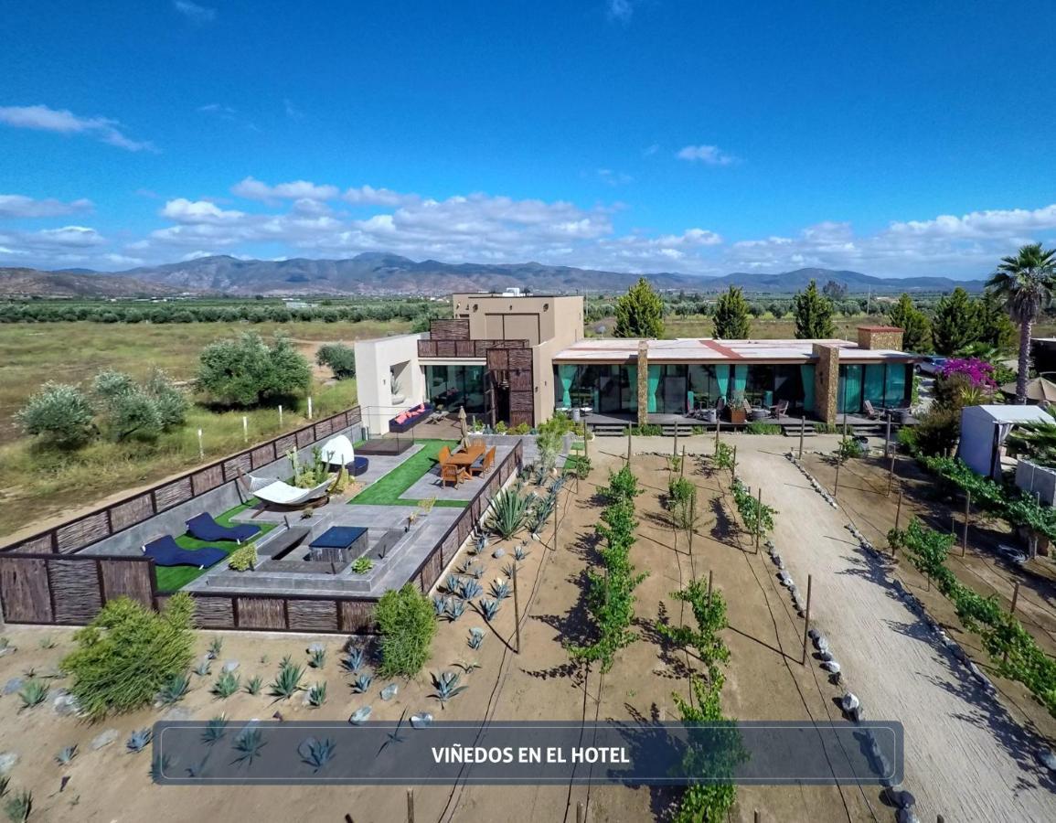 Entre Vinedos By Hotel Boutique Valle De Guadalupe Dış mekan fotoğraf