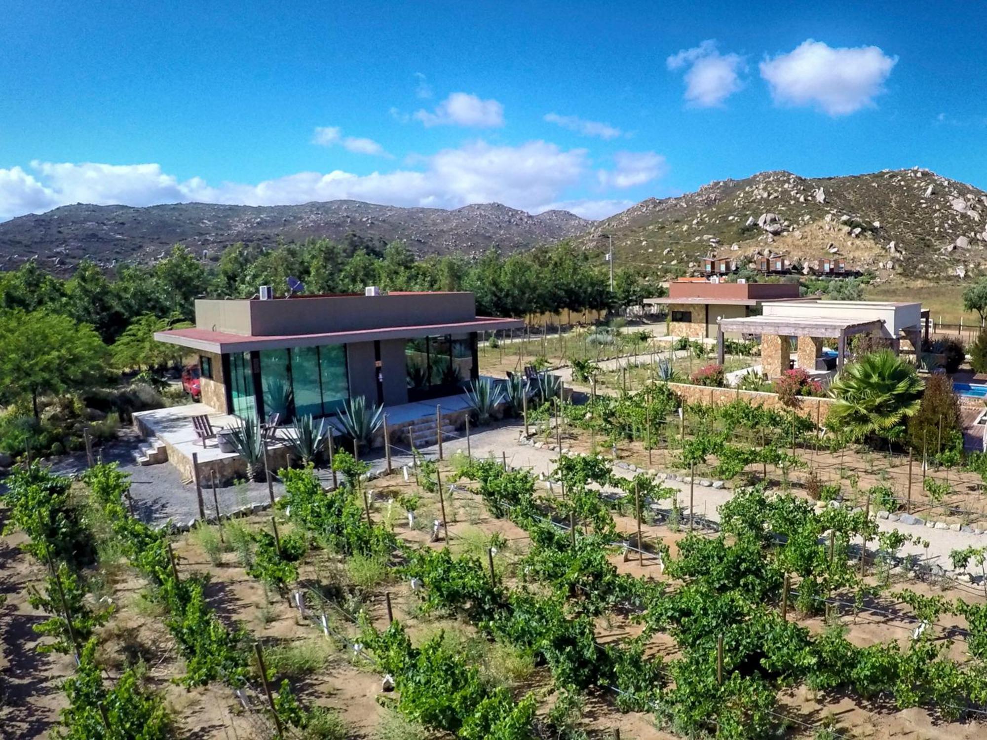 Entre Vinedos By Hotel Boutique Valle De Guadalupe Oda fotoğraf